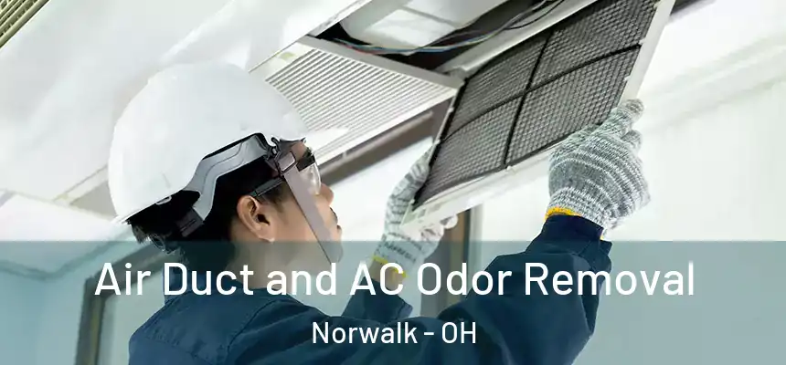  Air Duct and AC Odor Removal Norwalk - OH
