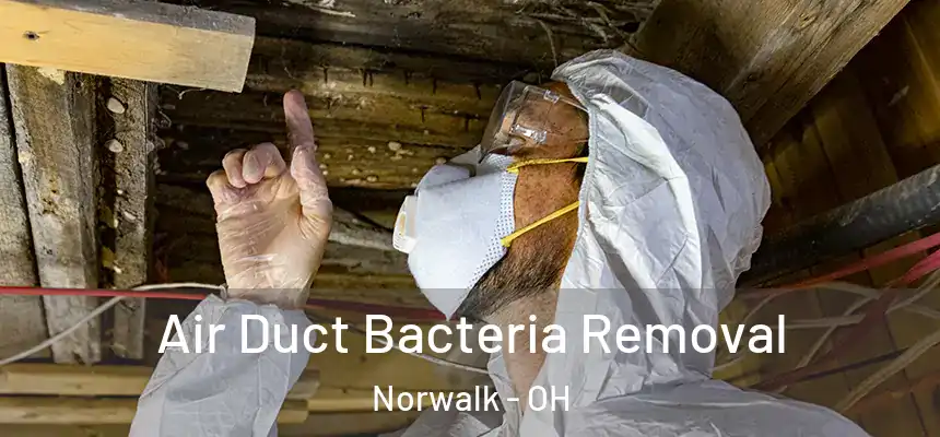 Air Duct Bacteria Removal Norwalk - OH