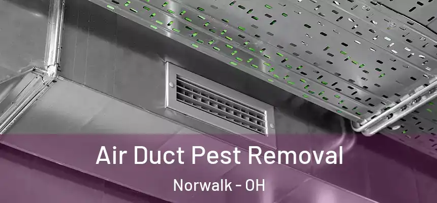  Air Duct Pest Removal Norwalk - OH