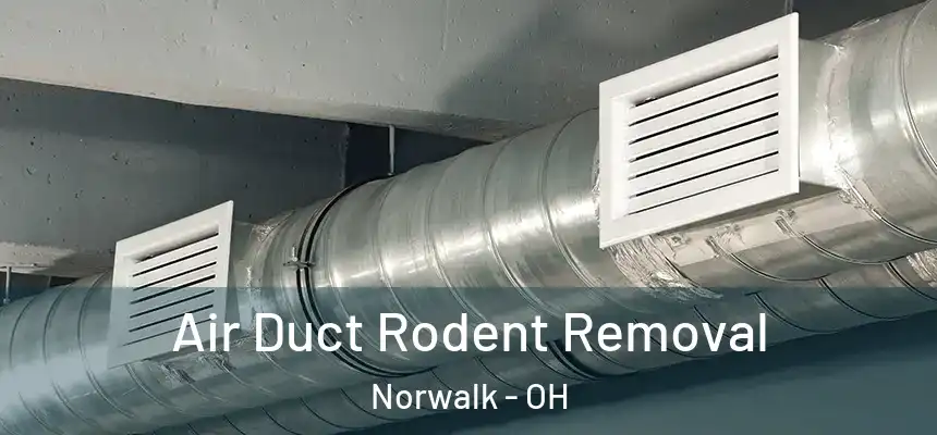  Air Duct Rodent Removal Norwalk - OH