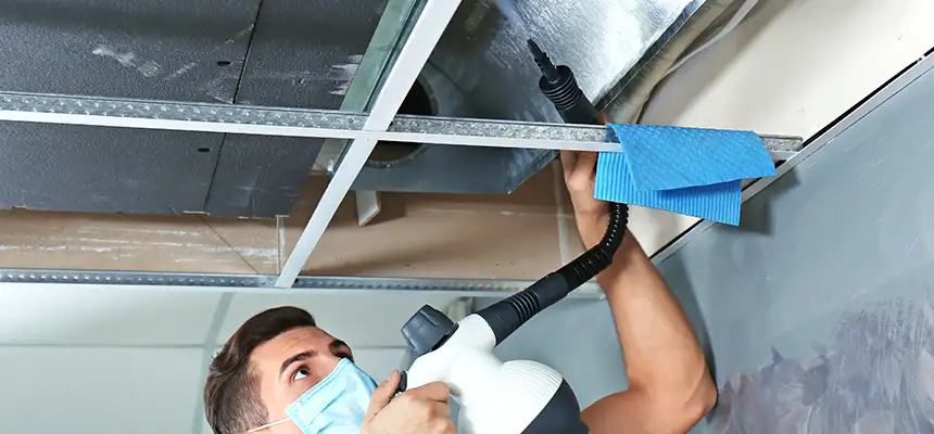 Our Air Duct Rodent Removal Services in Norwalk, OH