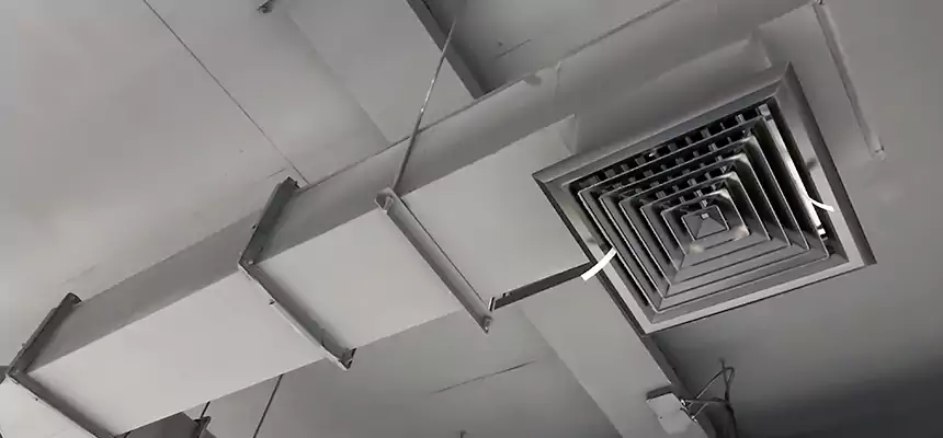 Our Rodent Droppings In Vents Services in Norwalk, OH