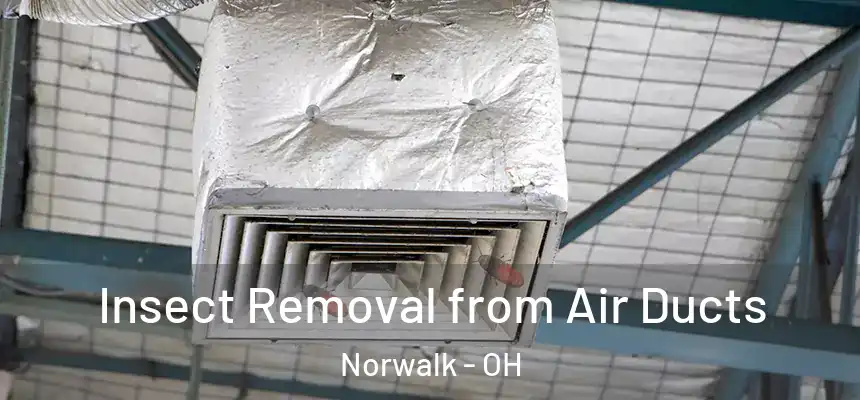  Insect Removal from Air Ducts Norwalk - OH